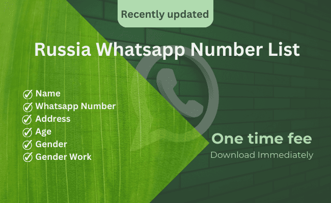 Russia WhatsApp Number List